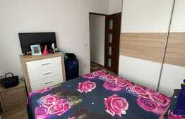 Apartament de 3 camere, decomandat, 45 mp utili, Valea Rosie