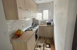 Apartament de 3 camere, decomandat, 45 mp utili, Valea Rosie