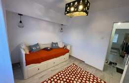 Apartament 2 camere Ultracentral zona Mercur