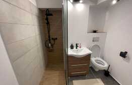 Apartament 2 camere Ultracentral zona Mercur