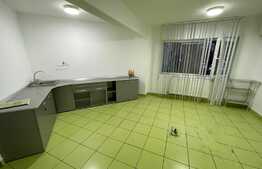 Spatiu comercial, 53 mp, vad stradal, zona Facultatii de Mecanica