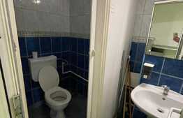 Spatiu comercial, 53 mp, vad stradal, zona Facultatii de Mecanica