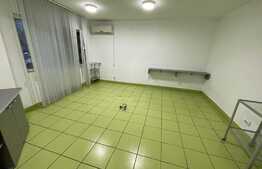 Spatiu comercial, 53 mp, vad stradal, zona Facultatii de Mecanica