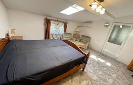 Casa de 210 mp, curte cu terasa, centrala termica, Aer Conditionat cartier 1 Mai