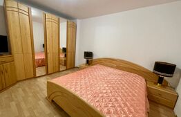 Casa de 210 mp, curte cu terasa, centrala termica, Aer Conditionat cartier 1 Mai