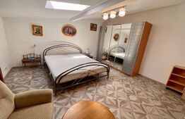 Casa de 210 mp, curte cu terasa, centrala termica, Aer Conditionat cartier 1 Mai