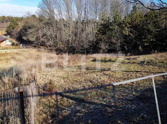 Teren de vânzare Lapus - 79250TV | BLITZ Craiova | Poza1