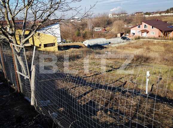 Teren de vânzare Lapus - 79250TV | BLITZ Craiova | Poza2