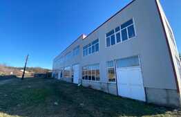 Hala industriala, 1200 mp, zona Bordei