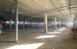 Hala industriala, 1200 mp, zona Bordei