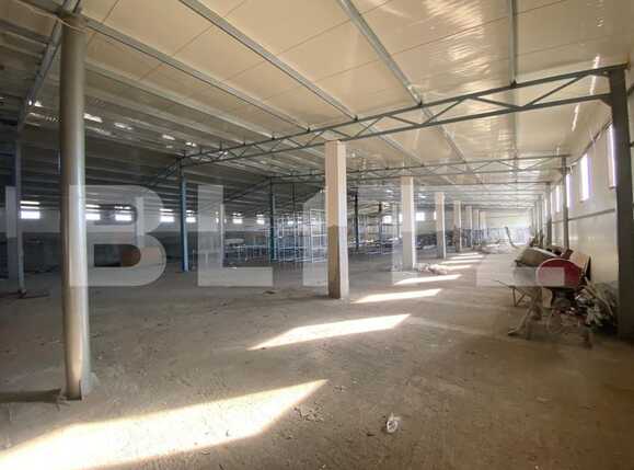 Spațiu industrial de închiriat Bariera Valcii - 79309SII | BLITZ Craiova | Poza7