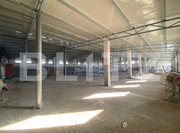 Spațiu industrial de închiriat Bariera Valcii - 79309SII | BLITZ Craiova | Poza8