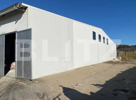 Spațiu industrial de închiriat Bariera Valcii - 79309SII | BLITZ Craiova | Poza3
