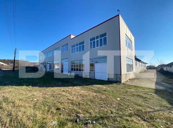 Spațiu industrial de închiriat Bariera Valcii - 79309SII | BLITZ Craiova | Poza1