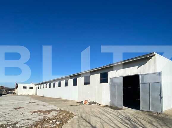 Spațiu industrial de închiriat Bariera Valcii - 79310SII | BLITZ Craiova | Poza5