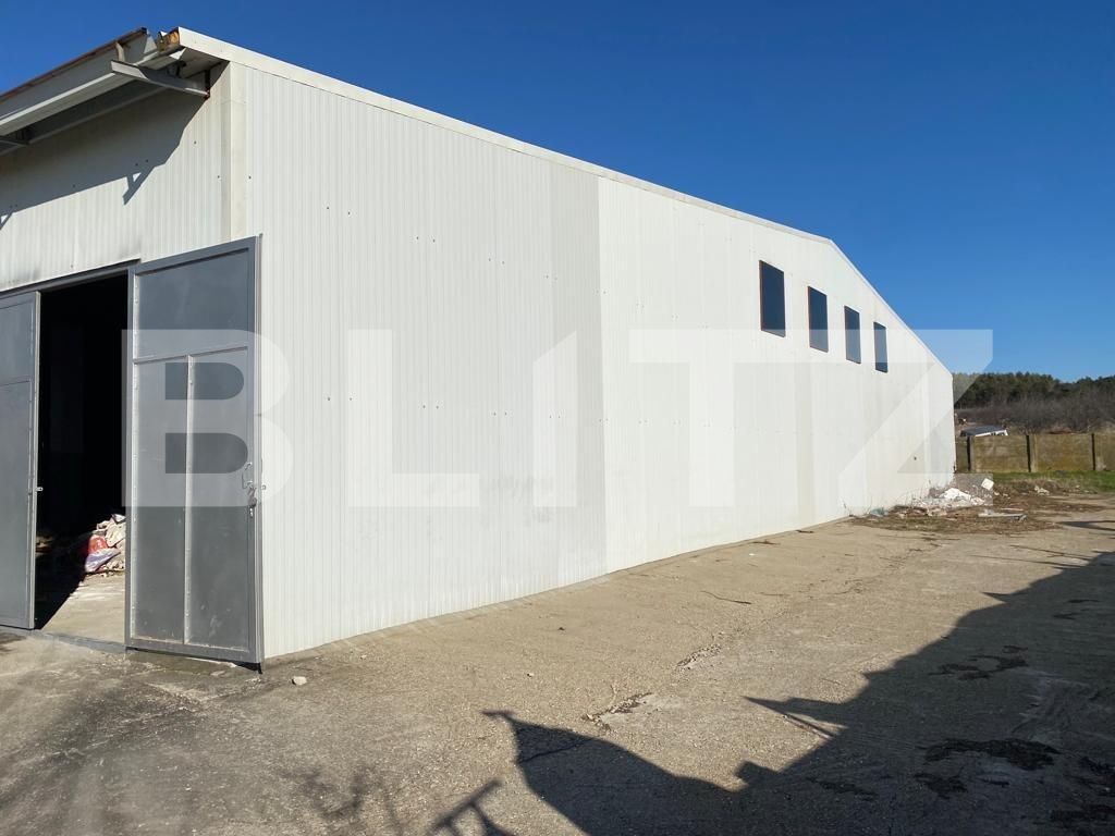 Spațiu industrial de închiriat Bariera Valcii - 79310SII | BLITZ Craiova | Poza3