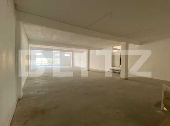Spațiu comercial de închiriat Lapus Arges - 79336SIC | BLITZ Craiova | Poza7