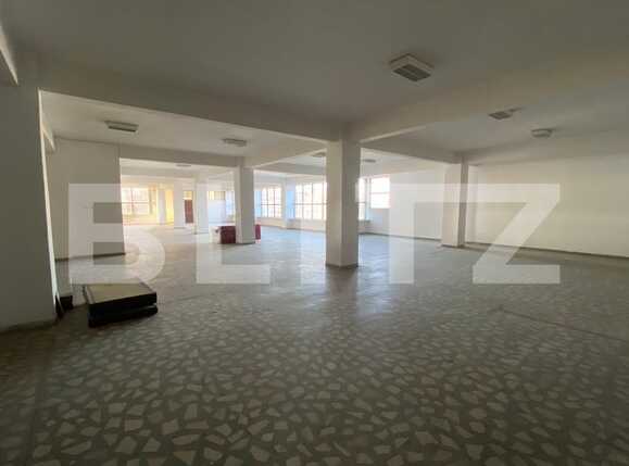 Spațiu comercial de închiriat Lapus Arges - 79336SIC | BLITZ Craiova | Poza1