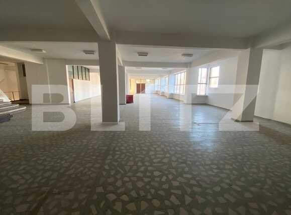 Spațiu comercial de închiriat Lapus Arges - 79336SIC | BLITZ Craiova | Poza2
