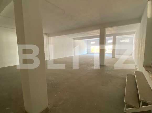 Spațiu comercial de închiriat Lapus Arges - 79336SIC | BLITZ Craiova | Poza5