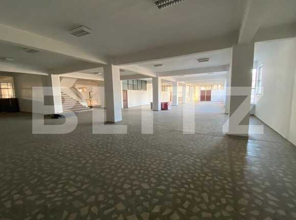 Spațiu comercial de închiriat Lapus Arges - 79336SIC | BLITZ Craiova | Poza3