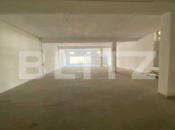 Spațiu comercial de închiriat Lapus Arges - 79336SIC | BLITZ Craiova | Poza4
