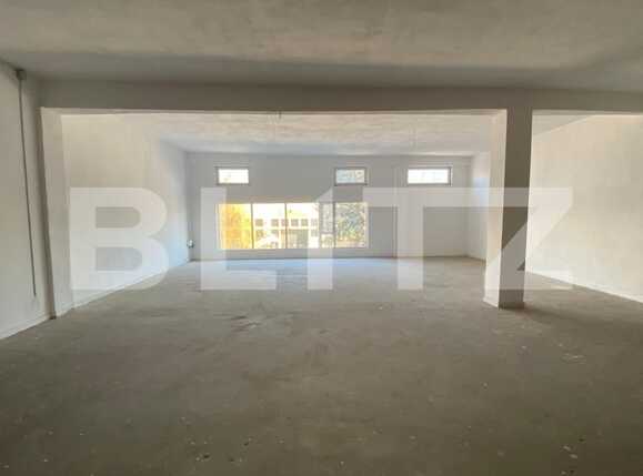 Spațiu comercial de închiriat Lapus Arges - 79336SIC | BLITZ Craiova | Poza6
