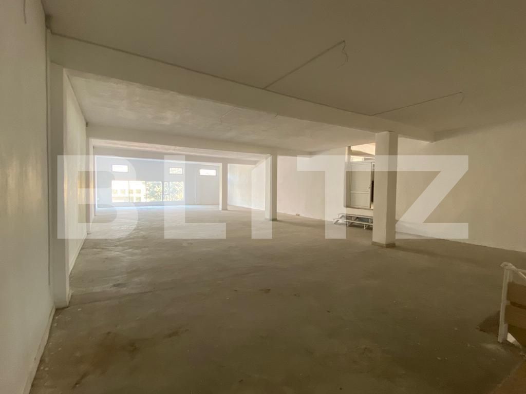 Spațiu comercial de închiriat Lapus Arges - 79336SIC | BLITZ Craiova | Poza7