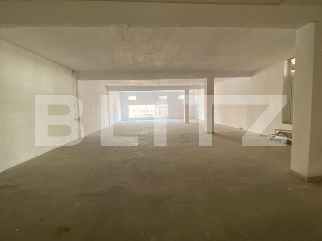 Spațiu comercial de închiriat Lapus Arges - 79336SIC | BLITZ Craiova | Poza4