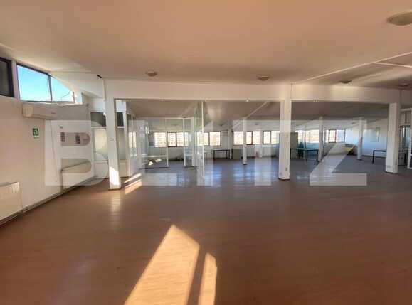 Spațiu birouri de închiriat Lapus - 79367SIB | BLITZ Craiova | Poza1