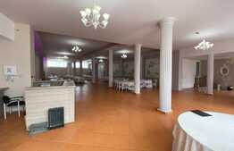 Spatiu comercial, 411 mp, vad stradal,  zona Metal Lemn