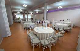 Spatiu comercial, 411 mp, vad stradal,  zona Metal Lemn