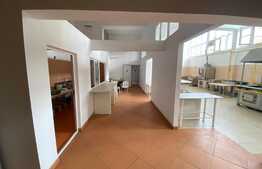 Spatiu comercial, 411 mp, vad stradal,  zona Metal Lemn