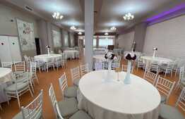 Spatiu comercial, 411 mp, vad stradal,  zona Metal Lemn