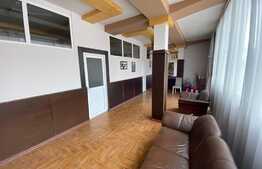 Spatiu comercial, 411 mp, vad stradal,  zona Metal Lemn