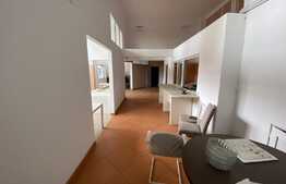 Spatiu comercial, 411 mp, vad stradal,  zona Metal Lemn