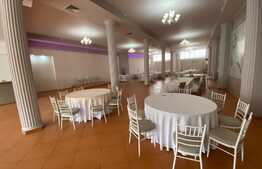 Spatiu comercial, 411 mp, vad stradal,  zona Metal Lemn