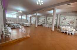 Spatiu comercial, 411 mp, vad stradal,  zona Metal Lemn