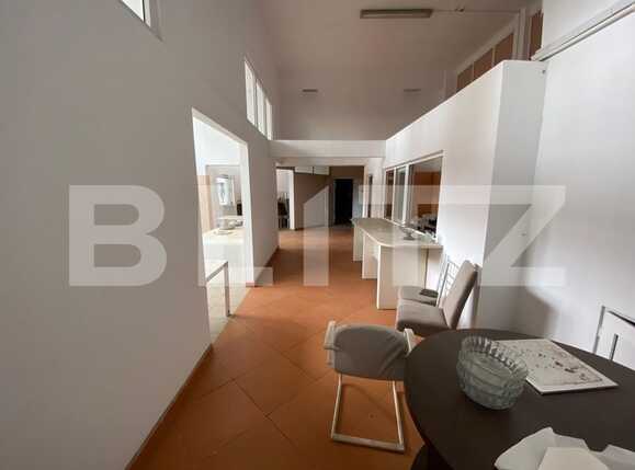 Spațiu comercial de închiriat Lapus Arges - 79392SIC | BLITZ Craiova | Poza8