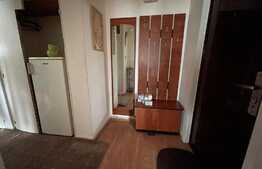 Apartament 2 camere situat in George Enescu 