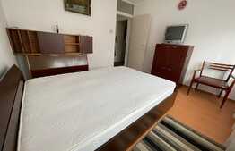 Apartament 2 camere situat in George Enescu 