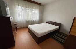 Apartament 2 camere situat in George Enescu 