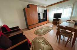 Apartament 2 camere situat in George Enescu 