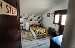 Casa deosebita, 142 mp, partial mobilata, Ghercesti!