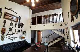 Casa deosebita, 142 mp, partial mobilata, Ghercesti!