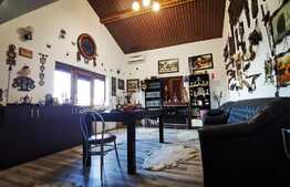 Casa deosebita, 142 mp, partial mobilata, Ghercesti!