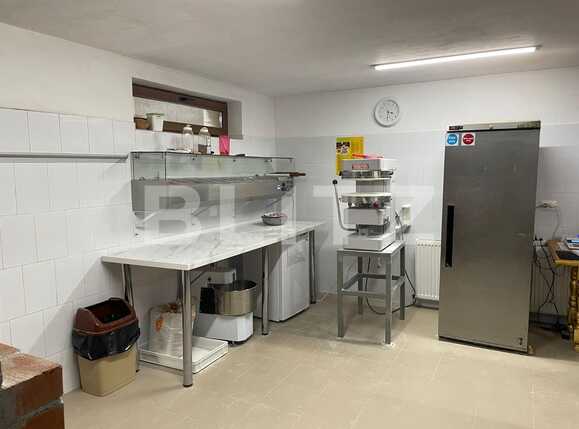 Casa de închiriat 6 camere Central - 79702CI | BLITZ Craiova | Poza12