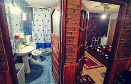 Casa de 120 mp utili, Brestei!