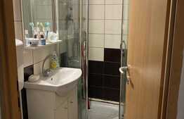Ultracentral, Apartament 2 camere, semidecomandat, zona Teatrul National