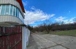 Vilă de 242 mp utili, 973 mp curte cu piscină, Breasta